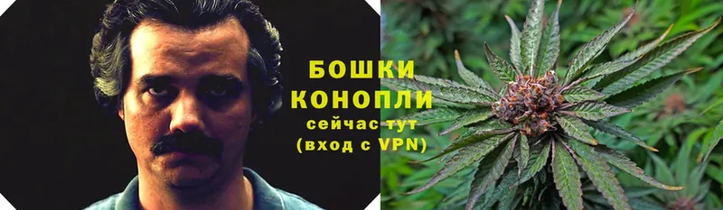 Марихуана THC 21%  Истра 